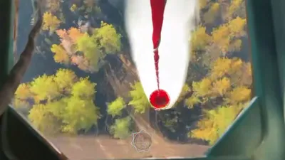 Семей орманы, пожар