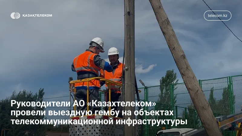 Выездная гемба