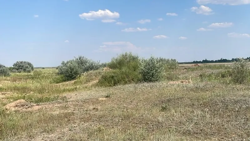 степь, Акмолинская область, фото - Новости Zakon.kz от 03.08.2026 17:23