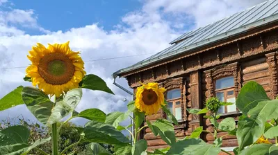 , фото - Новости Zakon.kz от 13.08.2026 12:13