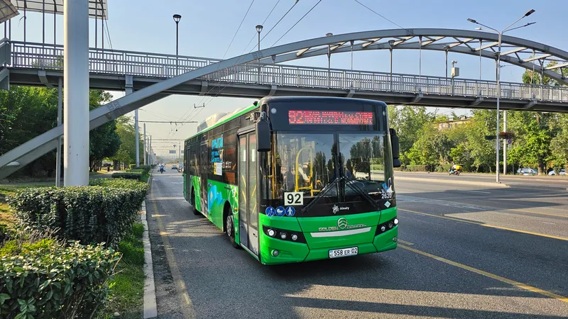 Скоростные автобусные линии, автобусная полоса, BRT, БРТ, автобус, автобусы, общественный транспорт, машина, машины, автомобиль