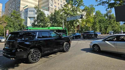 , фото - Новости Zakon.kz от 14.08.2026 16:29