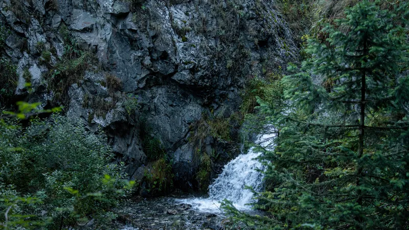 Алматы, водопады Алматы, фото - Новости Zakon.kz от 19.08.2026 10:23