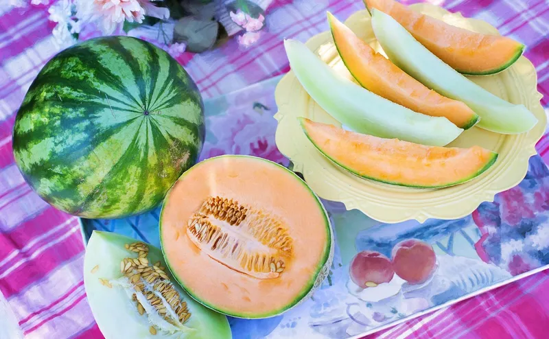 бахчевые плоды, фото - Новости Zakon.kz от 19.08.2026 17:49