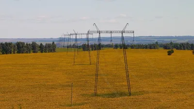 , фото - Новости Zakon.kz от 25.08.2026 11:42