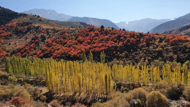 Шымкент, горы, туризм, фото - Новости Zakon.kz от 28.08.2026 13:38