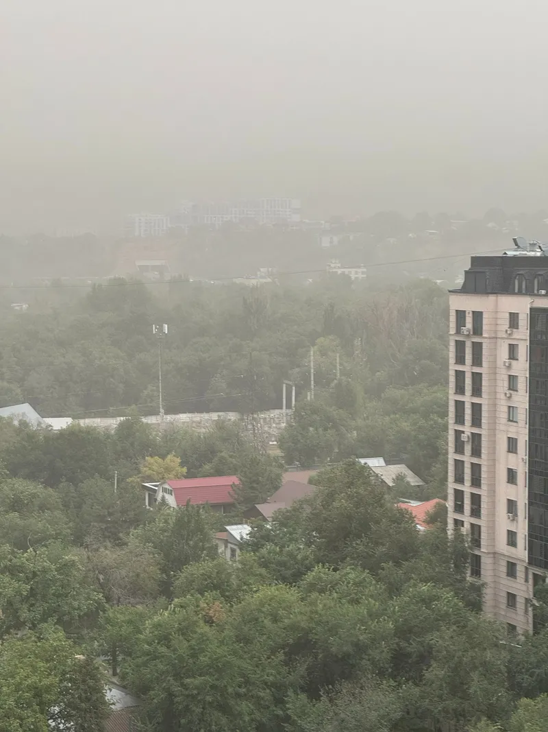 буря в Алматы, фото - Новости Zakon.kz от 31.08.2026 16:52