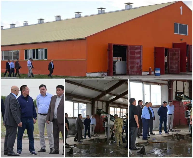 Павлодарская область, ТОО "Aqtogai Milk", трагедия, фото - Новости Zakon.kz от 02.09.2026 13:13
