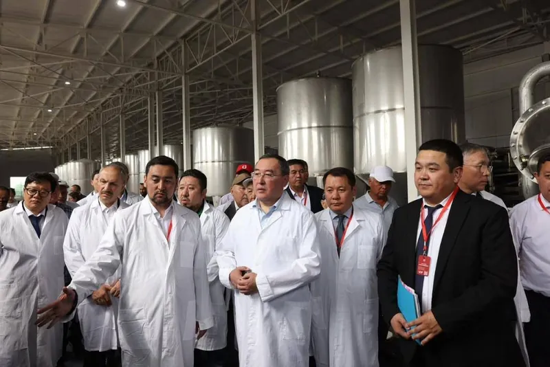 Алматинская область, фото - Новости Zakon.kz от 04.09.2026 09:20