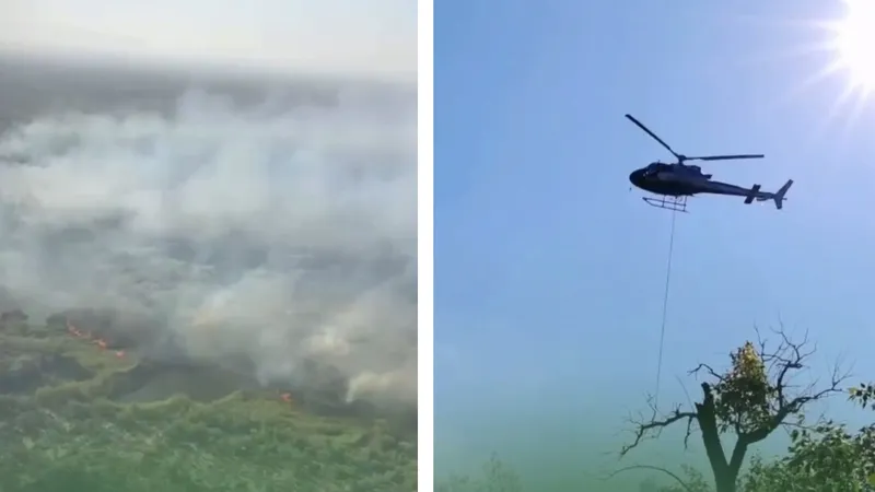 пожары