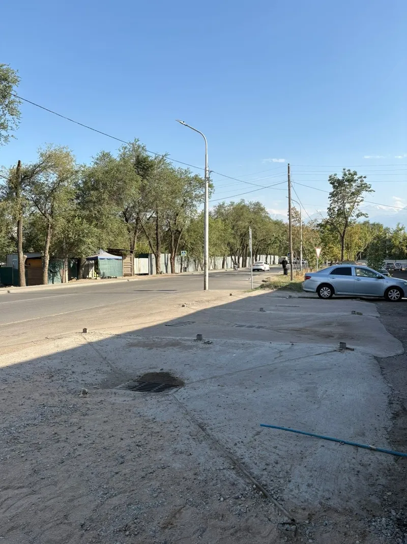 машина, деревья, фото - Новости Zakon.kz от 14.09.2026 16:31