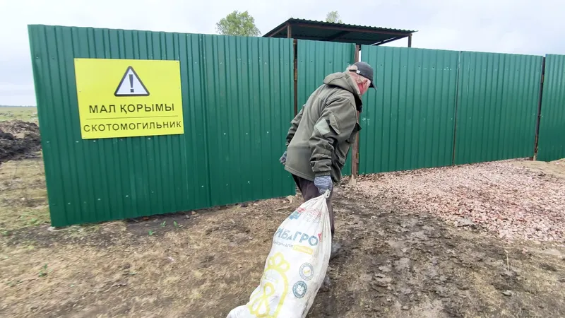 птица, утилизация, фото - Новости Zakon.kz от 15.09.2026 18:15