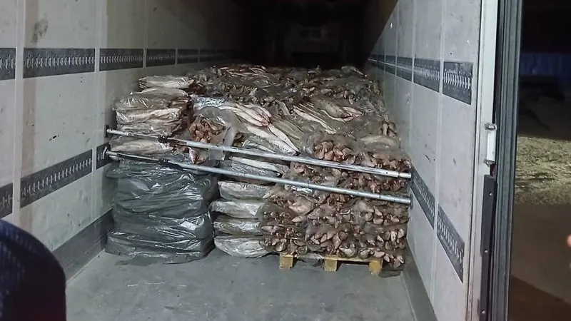 Автомобиль, рыба , фото - Новости Zakon.kz от 19.09.2026 14:41