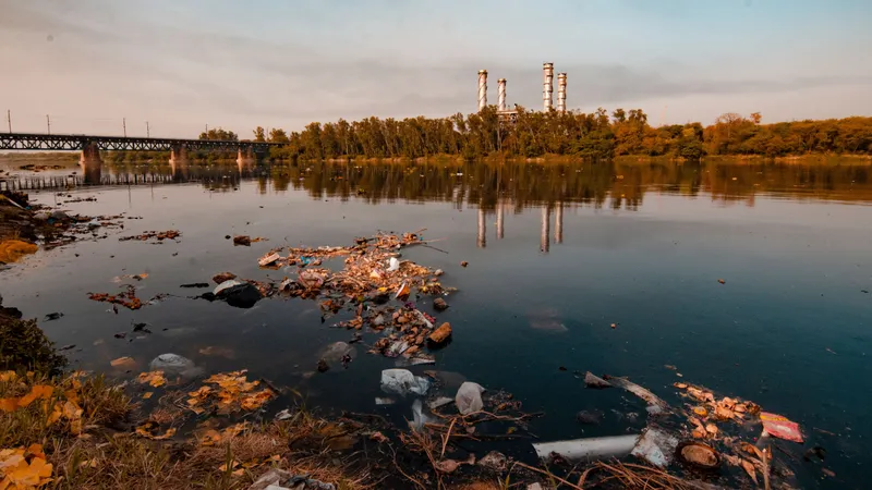 вода, мусор, мост, фото - Новости Zakon.kz от 22.09.2026 16:55