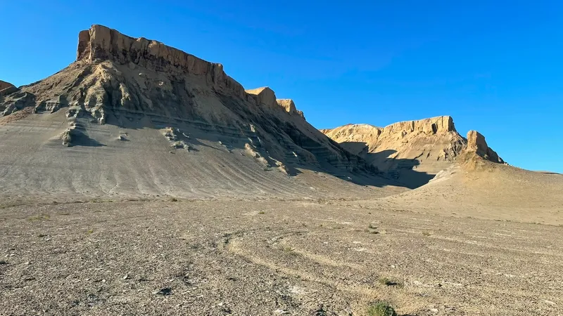 Аральское море, верблюды, лодки, Кызылординская область, фото - Новости Zakon.kz от 23.09.2026 17:20