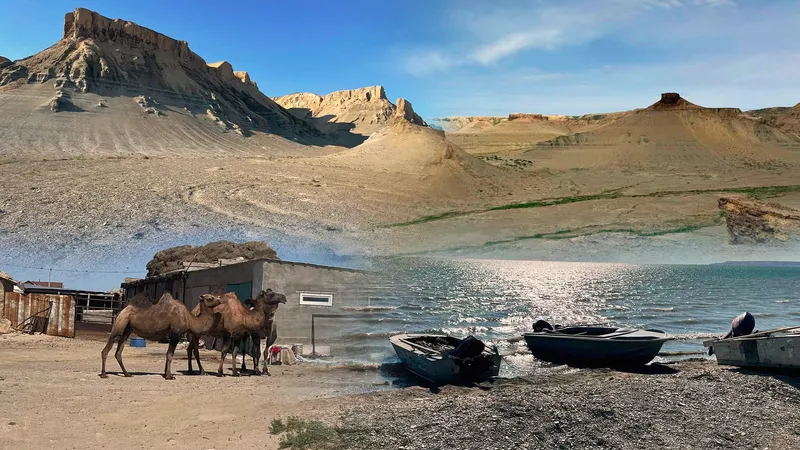 Аральское море, верблюды, лодки, Кызылординская область