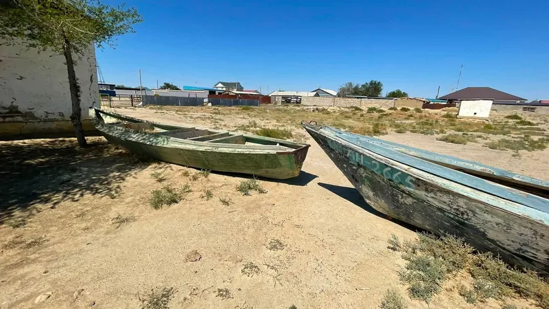 Аральское море, верблюды, лодки, Кызылординская область, фото - Новости Zakon.kz от 23.09.2026 17:20