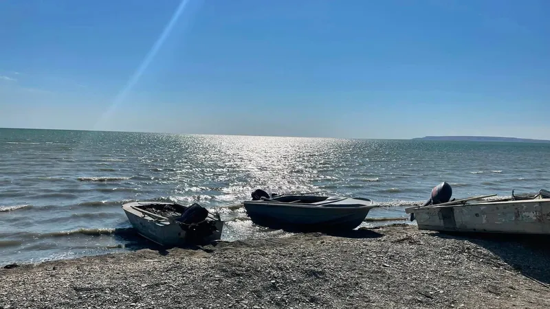 Аральское море, верблюды, лодки, Кызылординская область, фото - Новости Zakon.kz от 23.09.2026 17:20