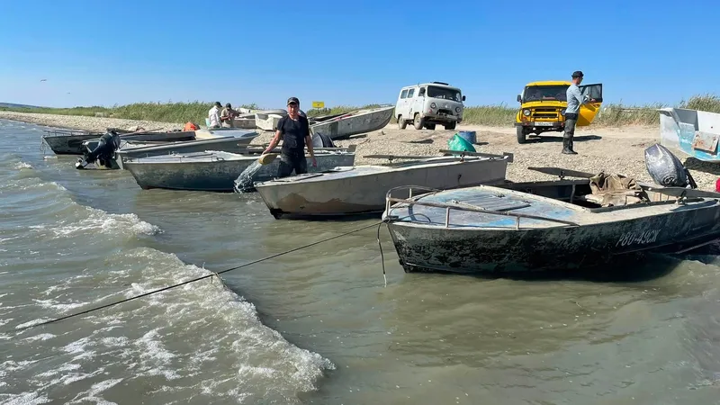 Аральское море, верблюды, лодки, Кызылординская область, фото - Новости Zakon.kz от 23.09.2026 17:20
