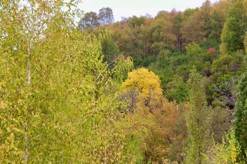 буйство красок осенью, фото - Новости Zakon.kz от 28.09.2026 16:33