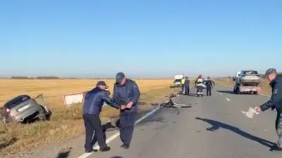 Фото: пресс-служба ДП 