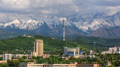 , фото - Новости Zakon.kz от 02.10.2026 13:31