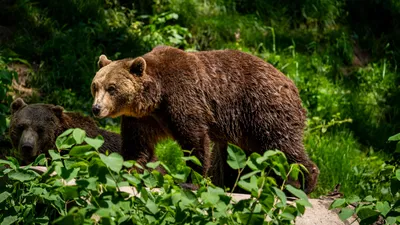 , фото - Новости Zakon.kz от 09.10.2026 12:26