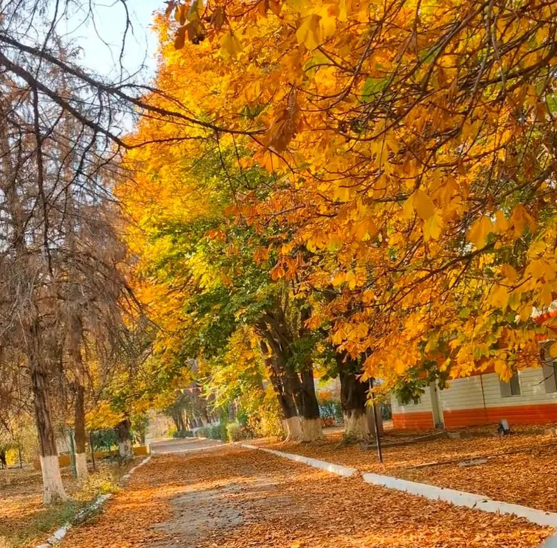 Шымкент, горы, осень, туризм, фото - Новости Zakon.kz от 05.10.2026 17:07