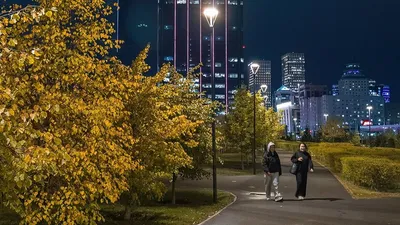 , фото - Новости Zakon.kz от 05.10.2026 10:40