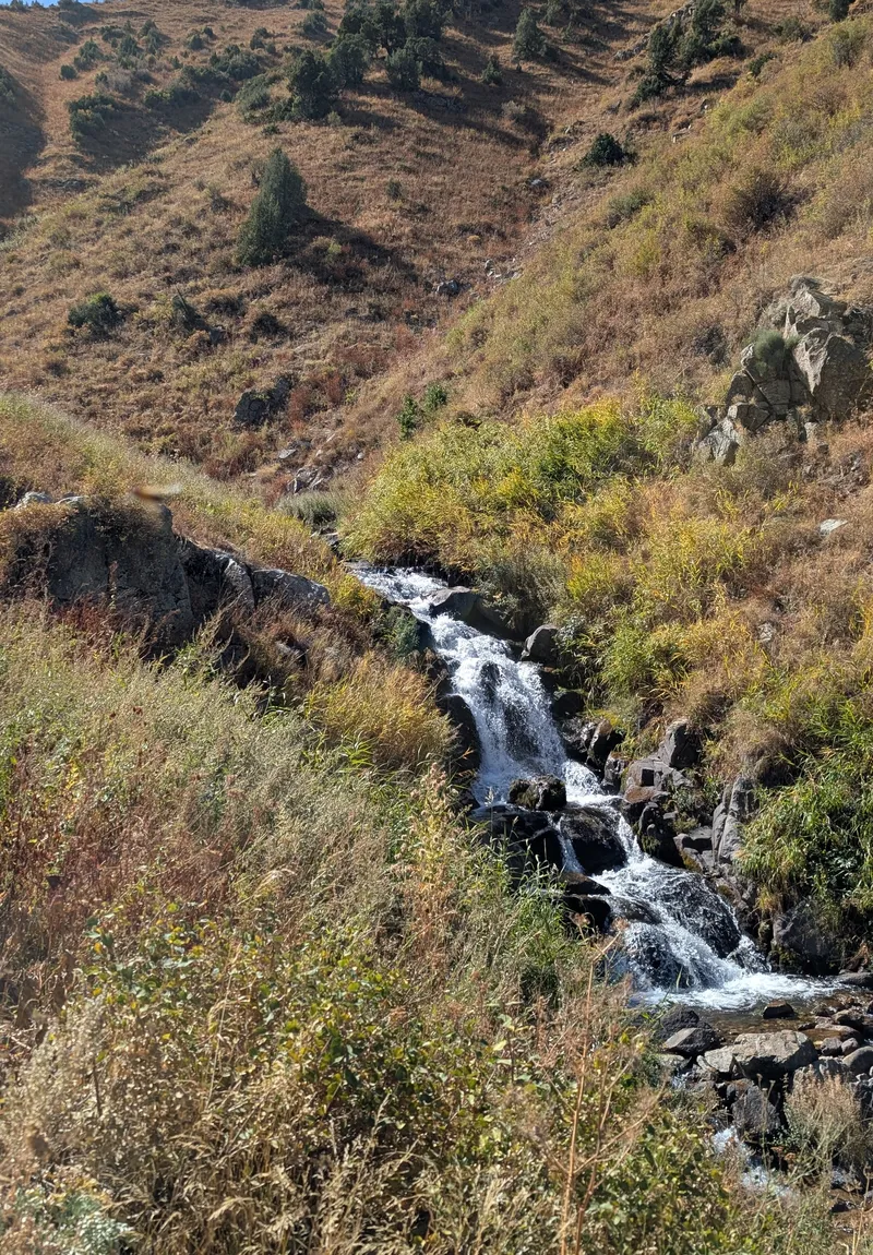 Шымкент, горы, осень, туризм, фото - Новости Zakon.kz от 05.10.2026 17:07