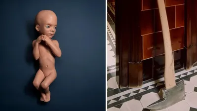 Культовый реквизит из фильмов выставят на аукцион