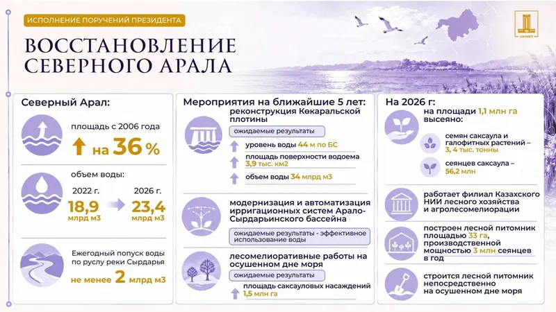 Северный Арал, восстановление, инфографика, фото - Новости Zakon.kz от 07.10.2026 08:59