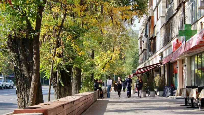 летние террасы в Алматы, фото - Новости Zakon.kz от 14.10.2026 12:04