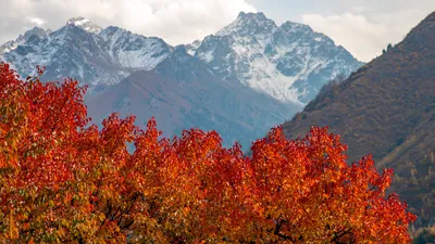 , фото - Новости Zakon.kz от 29.10.2026 16:59