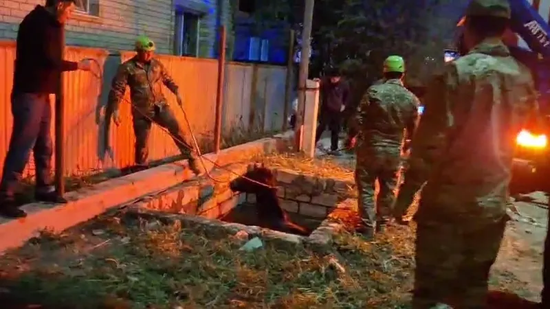 Ловушка под ногами: в Атырау спасали неожиданного пострадавшего