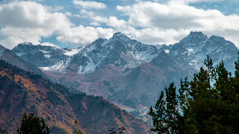 Осень, осенняя погода, желтые листья, осенний сезон, осенний лес, лес осенью, осень в лесу, осень в горах, горы, природа Казахстана