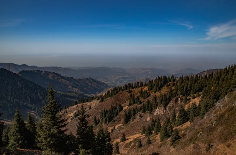 Алматы, горы, Бутаковка, Ай-Карагай, путешествие, прогулка, фото - Новости Zakon.kz от 16.10.2026 11:06