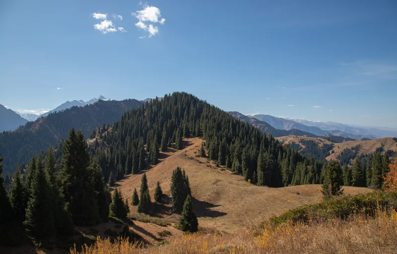 Алматы, горы, Бутаковка, Ай-Карагай, путешествие, прогулка, фото - Новости Zakon.kz от 16.10.2026 11:06
