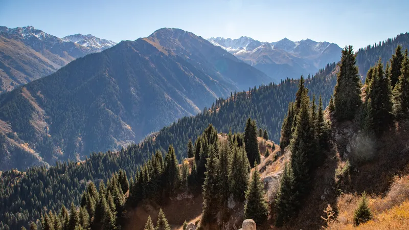 Алматы, горы, Бутаковка, Ай-Карагай, путешествие, прогулка, фото - Новости Zakon.kz от 16.10.2026 11:06