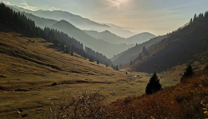 Алматы, горы, Бутаковка, Ой-Карагай, путешествие, прогулка, фото - Новости Zakon.kz от 16.10.2026 11:06