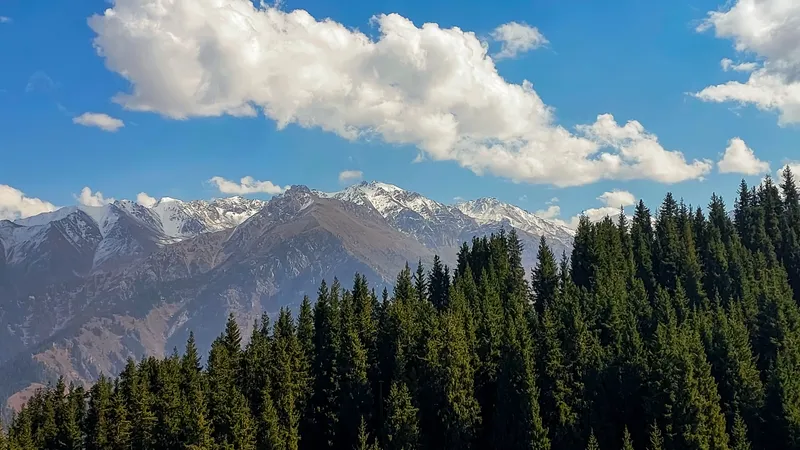 Алматы, горы, Бутаковка, Ай-Карагай, путешествие, прогулка, фото - Новости Zakon.kz от 16.10.2026 11:06