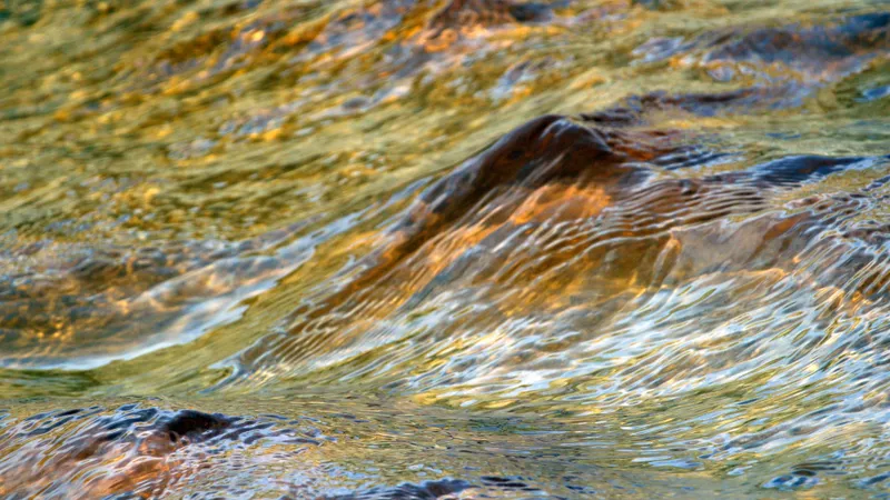 Вода, фото - Новости Zakon.kz от 18.10.2026 06:20