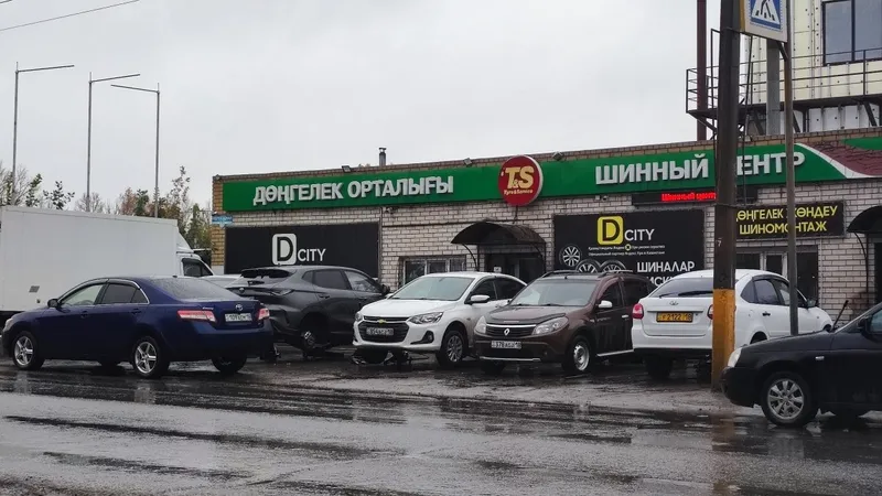 Семей, первый снег, фото - Новости Zakon.kz от 21.10.2026 14:20