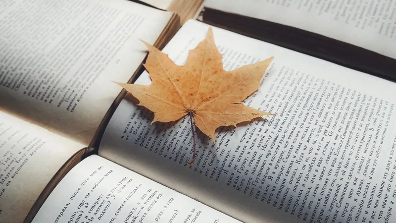 книга, лист