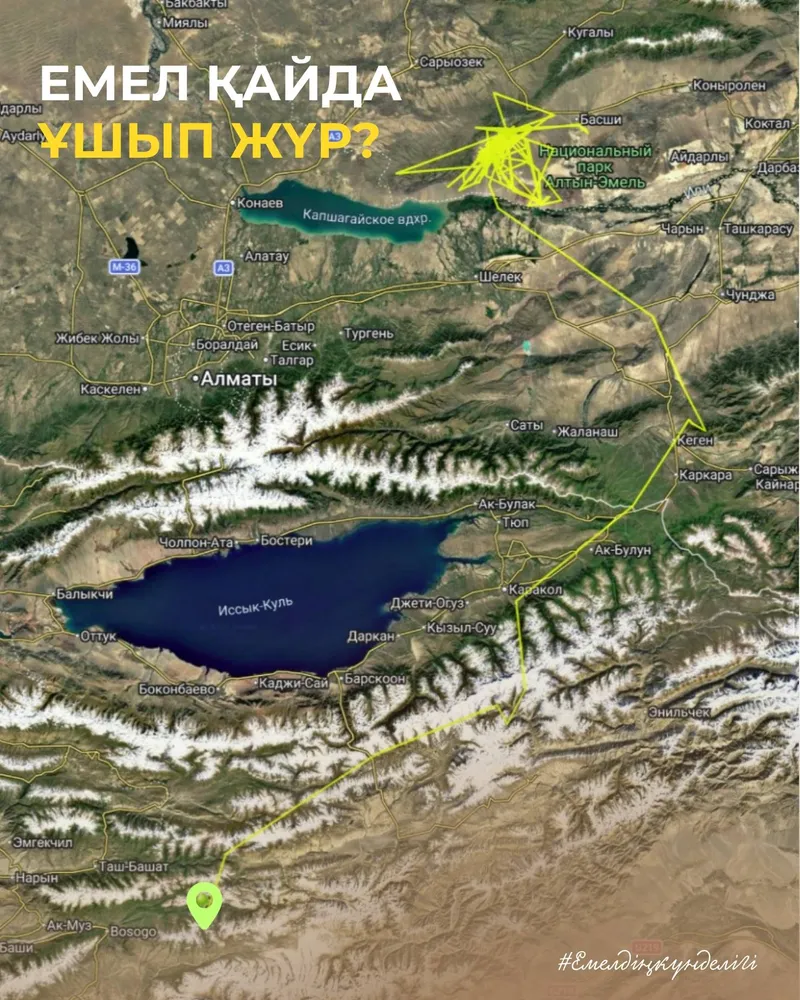 карта, маршрут, фото - Новости Zakon.kz от 28.10.2026 10:01